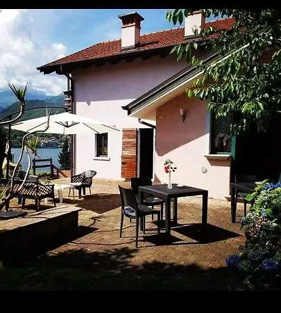 Luci Dal *