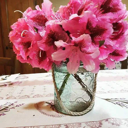 Luci Dal Bed & Breakfast Agrano
